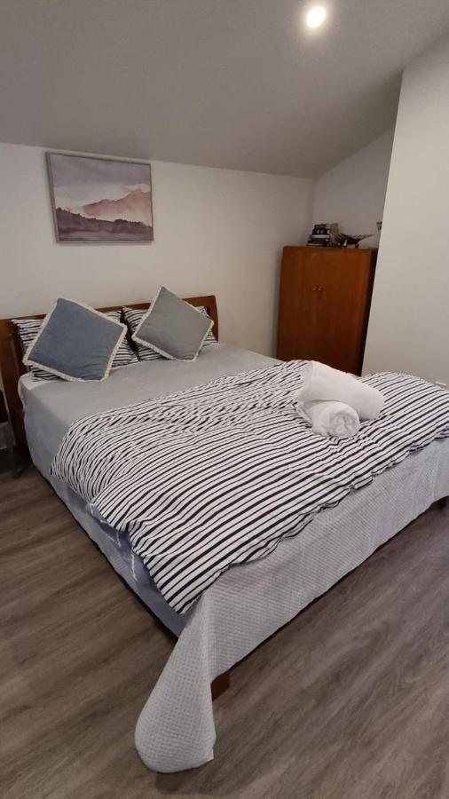 ולינגטו Modern & Cosy Studio Unit On Island Bay Beachfront מראה חיצוני תמונה